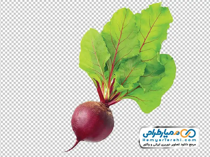 تصویر png چغندر قرمز دوربری چغندر قرمز