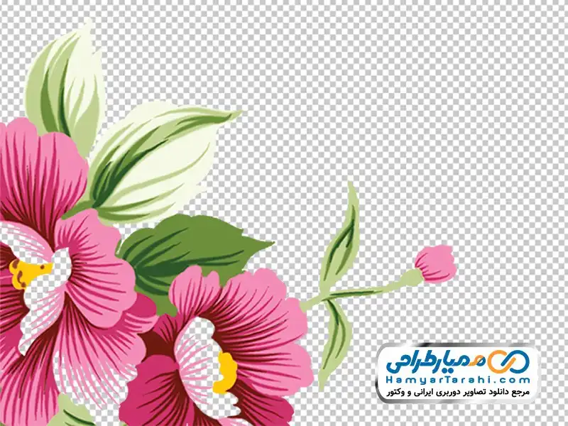 عکس دوربری شده گل های طبیعی روستایی تصویر گل های طبیعت روستایی