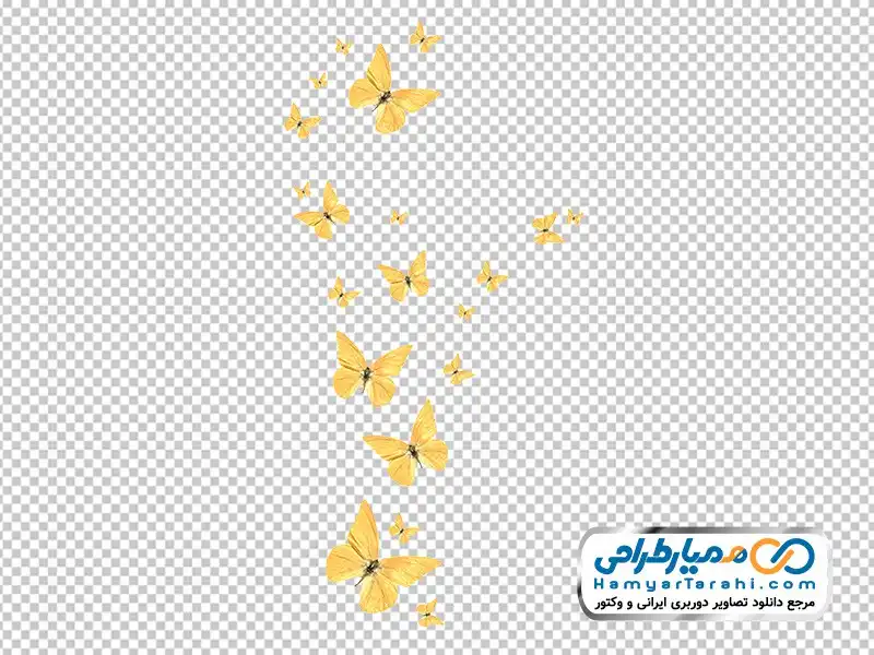 وکتور پروانه های زرد تصویر دوربری پروانه های زرد