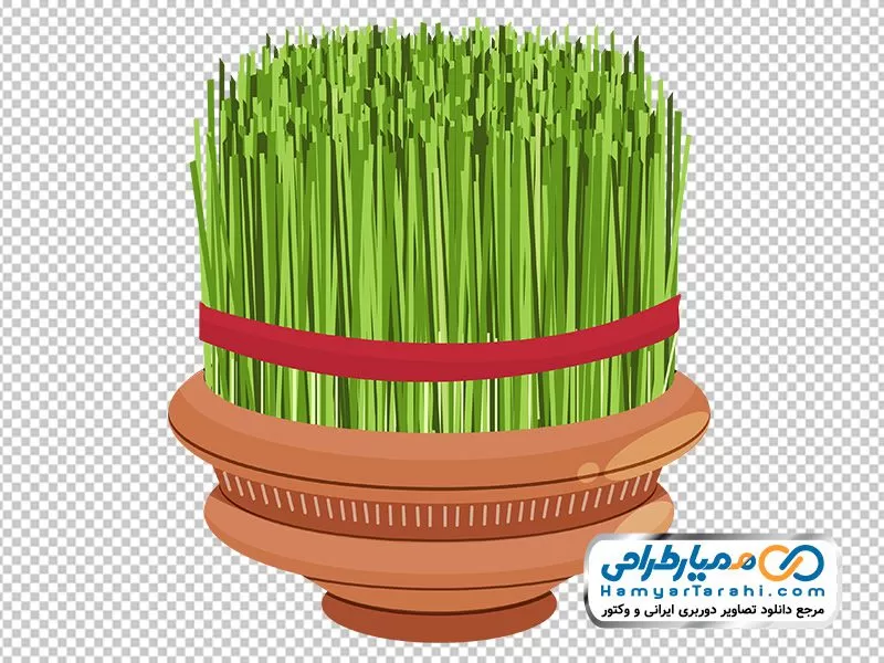 دوربری سبزه سفره هفت سین تصویر با کیفیت سبزه سفره هفت سین نوروز