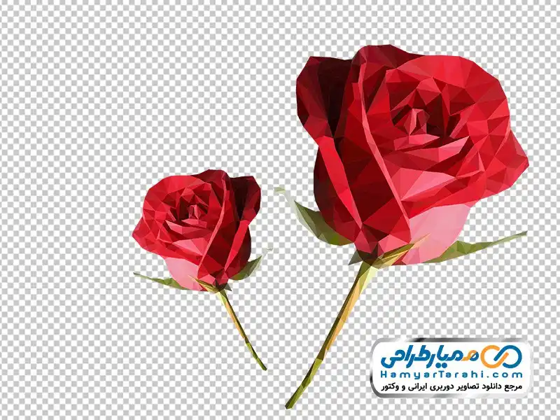 تصویر png شاخه گل رز قرمز عکس وکتوری شاخه گل رز قرمز