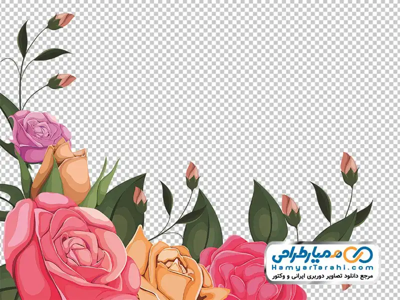 عکس دوربری شده نقاشی گل رز نارنجی و قرمز فایل png گل رز نارنجی و قرمز با برگ های سبز و غنچه