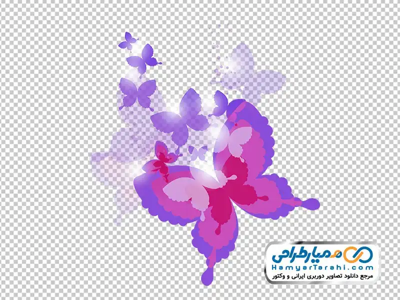 تصویر وکتوری پروانه عکس png پروانه