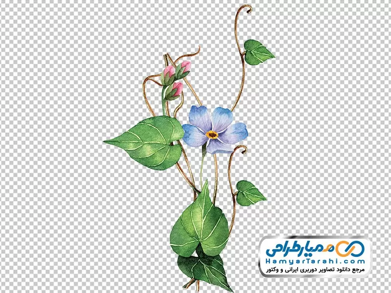 تصویر وکتوری شاخه گل دانلود تصویر دوربری شاخه گل