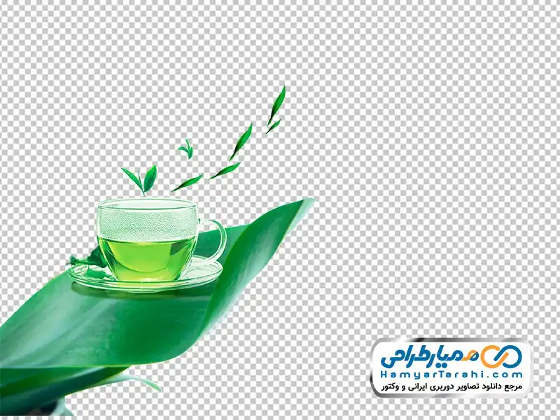تصویر وکتوری دمنوش و برگ چای تصویر png دمنوش و برگ چای