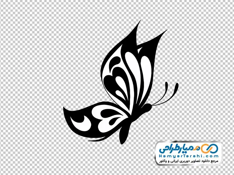 عکس وکتوری پروانه تصویر بدون پس زمینه پروانه