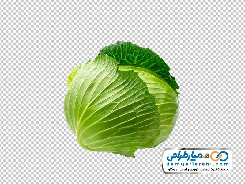 تصویر png کلم عکس وکتوری کلم
