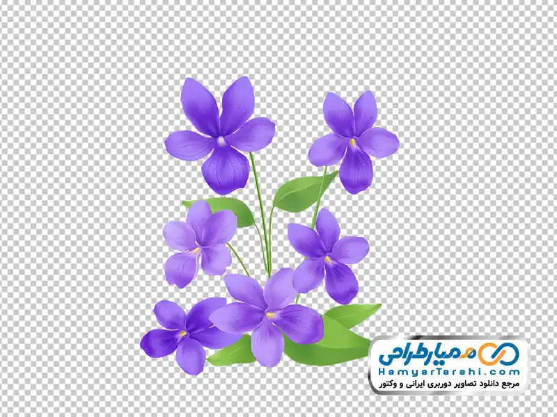 تصویر وکتوری گل ویولت با فرمت png دانلود تصویر وکتوری گل ویولت
