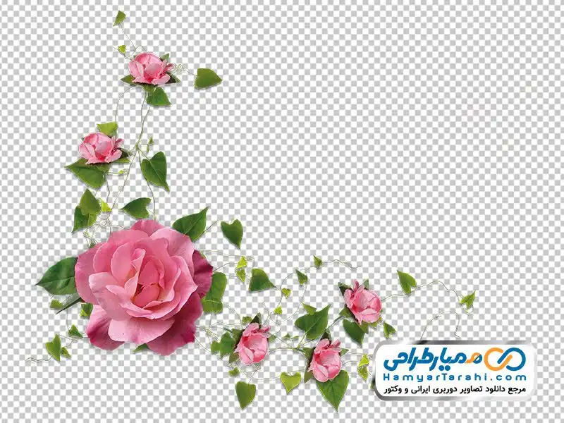 تصویر با کیفیت کادر گل صورتی دانلود دوربری کادر گل صورتی و برگ