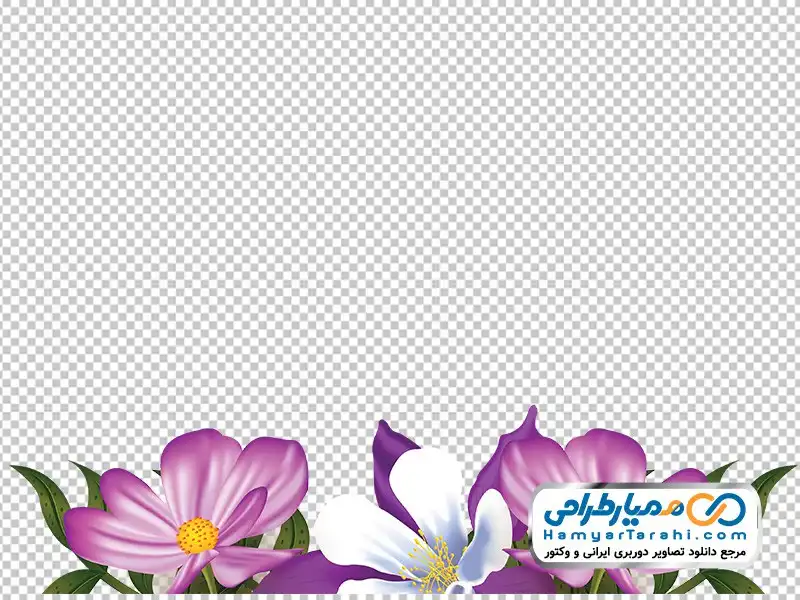 تصویر وکتوری فریم گل های بنفش با فرمت png دانلود تصویر وکتوری فریم گل های بنفش