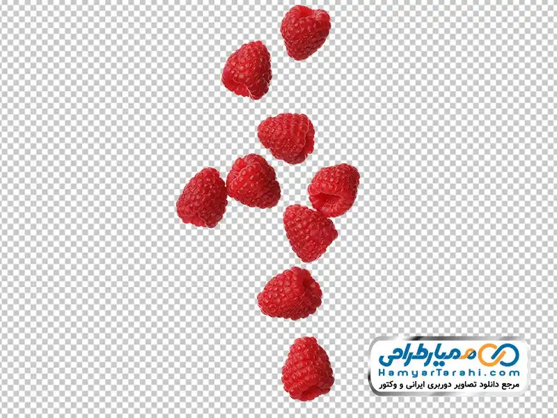 تصویر png تمشک دوربری تمشک