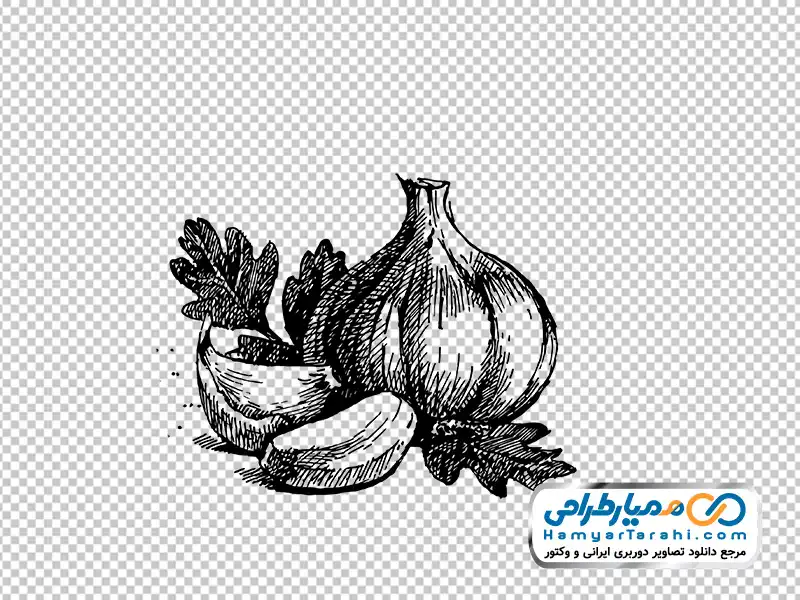 عکس وکتوری داروهای گیاهی با فرمت png دانلود عکس وکتوری داروهای گیاهی