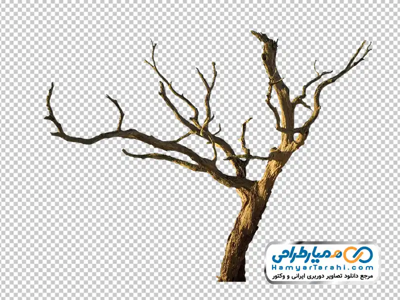 دانلود عکس png درخت خشکیده عکس درخت خشکیده با فرمت png