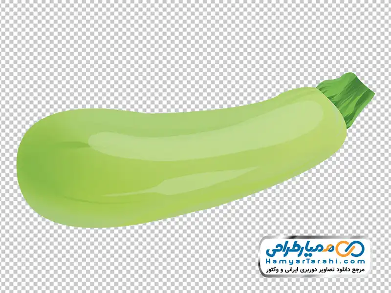 تصویر وکتوری کدو سبز با فرمت png عکس وکتوری کدو سبز
