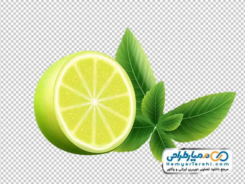 عکس وکتوری لیمو ترش سبز تصویر وکتوری لیمو ترش سبز با فرمت png