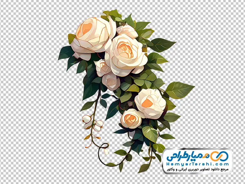 تصویر با کیفیت شاخه گل رز سفید با فرمت png تصویر وکتوری شاخه گل رز سفید