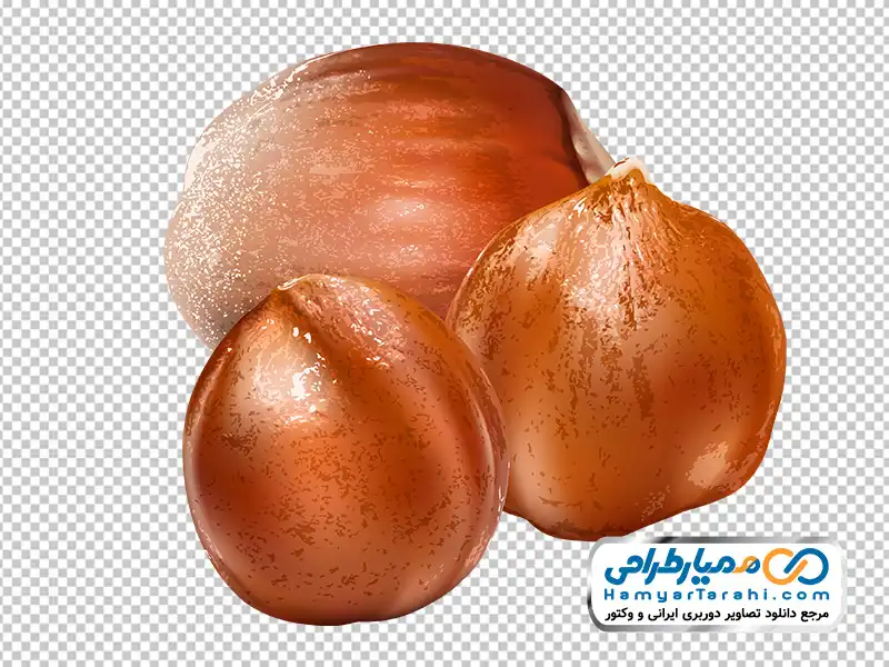 عکس وکتوری فندق دانلود تصویر وکتوری فندق با فرمت png