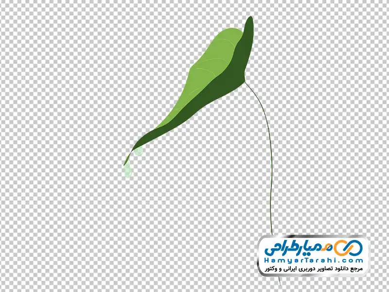 دانلود تصویر وکتوری برگ با قطره شمیم تصویر وکتوری برگ با قطره شمیم با فرمت png
