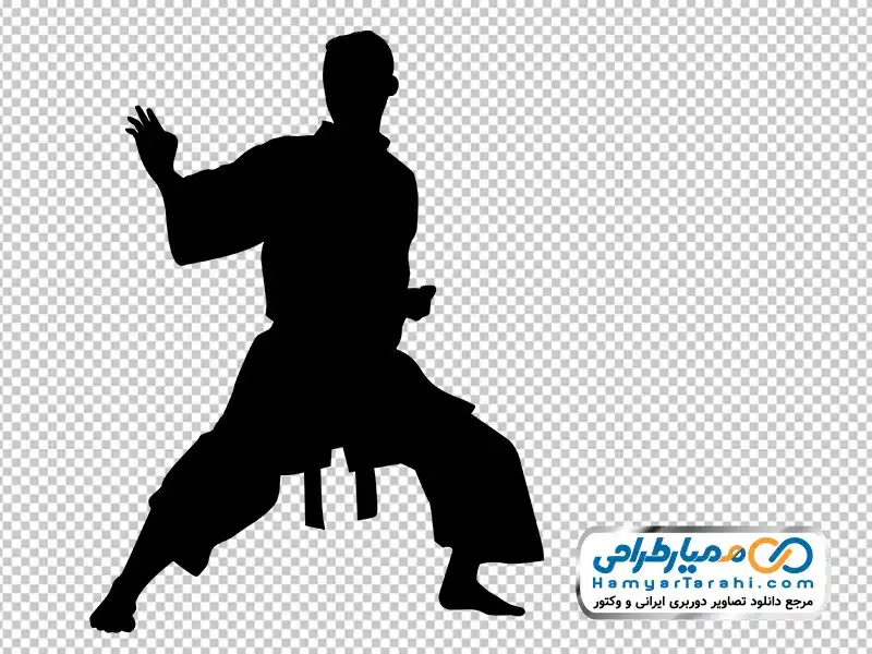 تصویر وکتوری مرد کونگ فو کار دوربری مرد کونگ فو کار