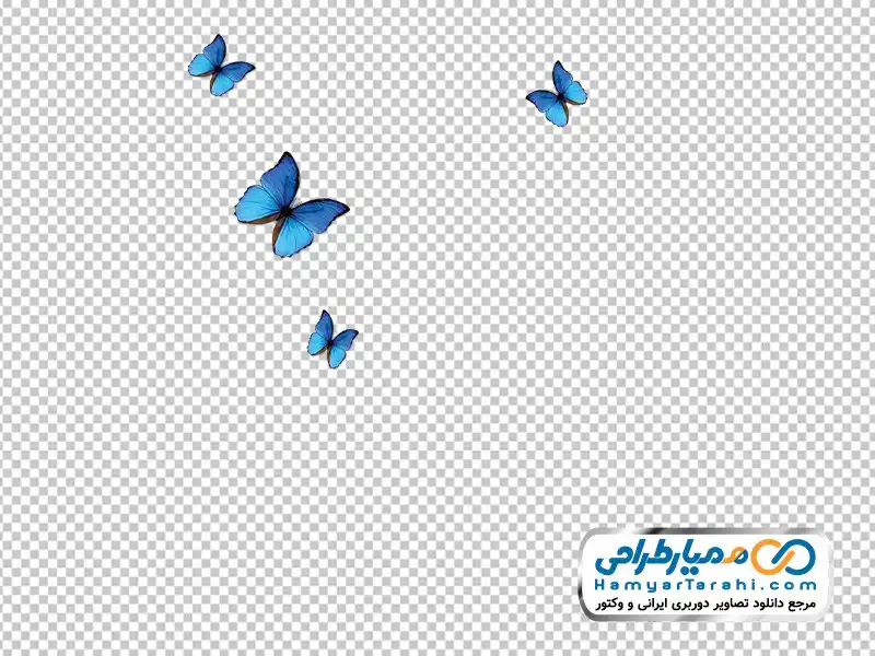 تصویر وکتوری پروانه های آبی تصویر با کیفیت پروانه های آبی