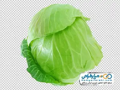 دانلود تصویر کاهو پیچ