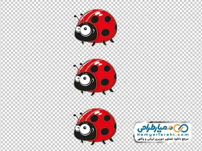 دوربری تصویر کفشدوزک