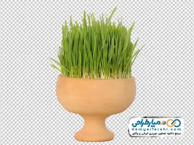 تصویر با کیفیت سبزه سفره هفت سین