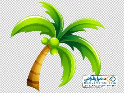 تصویر با کیفیت درخت نخل