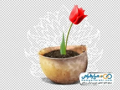 تصویر با کیفیت کلاه جنگی فلزی با گل لاله