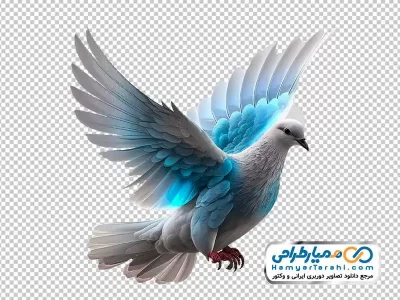 عکس برش خورده کبوتر