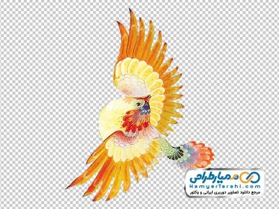تصویر png مرغ اسلیمی