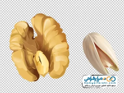 تصویر با کیفیت پسته و مغز گردو با فرمت png