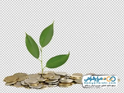 دانلود تصویر png سکه با نهال درخت