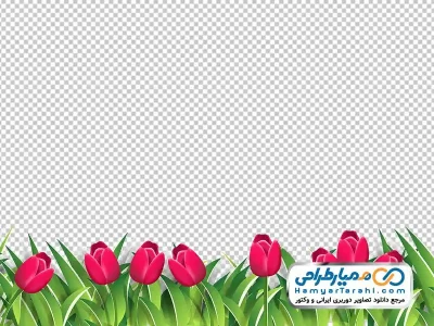 عکس وکتوری گل لاله