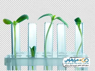 فایل png گیاهان کوچک درون لوله های آزمایشگاهی