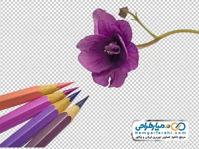 عکس با کیفیت مداد رنگی و گل