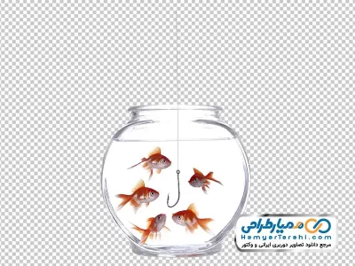 عکس باکیفیت تنگ ماهی قرمز با فرمت png