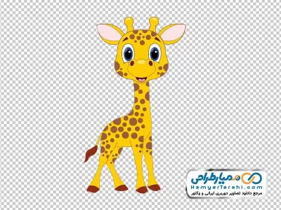 تصویر با کیفیت بچه زرافه