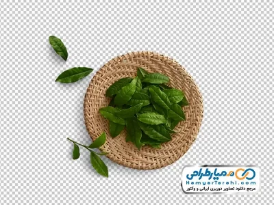 عکس دوربری برگ چای