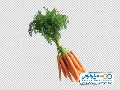دانلود تصویر png هویج