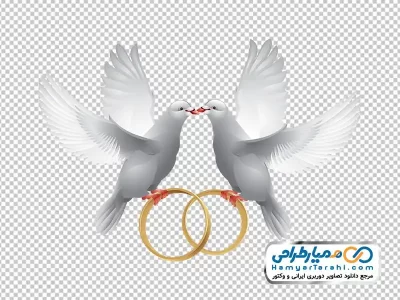 تصویر وکتوری کبوتر و حلقه ازدواج