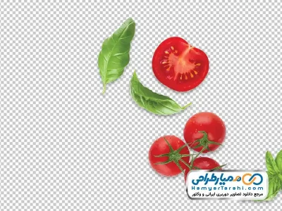 دانلود عکس با کیفیت گوجه