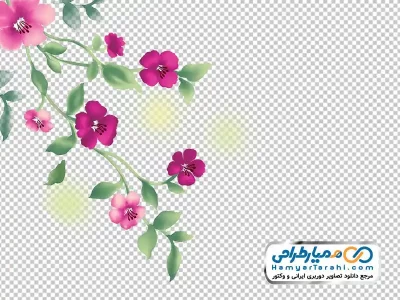 عکس png گل های بهاری