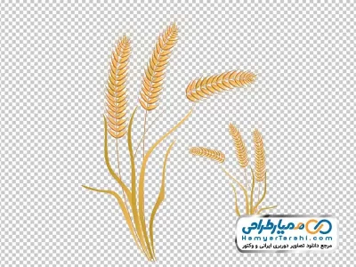 تصویر وکتوری شاخه گندم