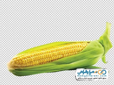 تصویر png ذرت
