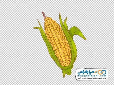 عکس وکتوری ذرت با فرمت png