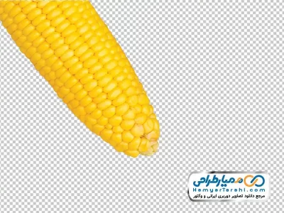 تصویر png ذرت بدون پوست