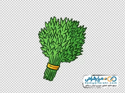 تصویر png دسته سبزی