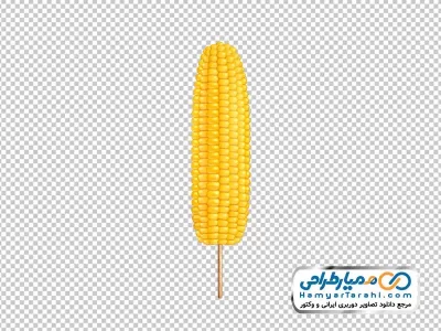 دانلود تصویر وکتوری ذرت بدون پوست