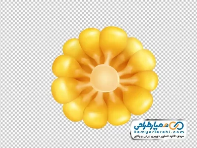 دانلود تصویر با کیفیت برش ذرت